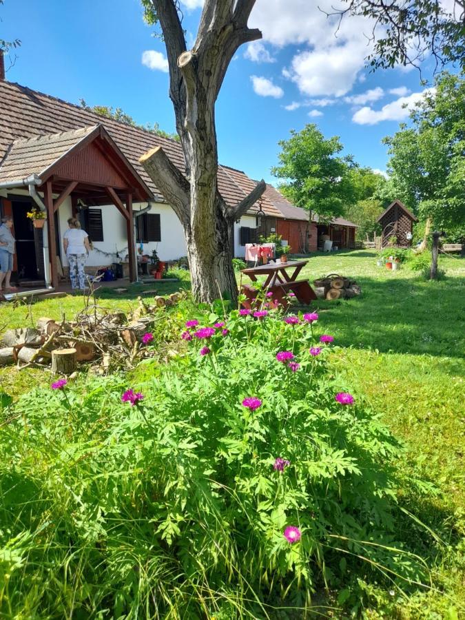 Harmat Porta Villa Galambok Eksteriør bilde